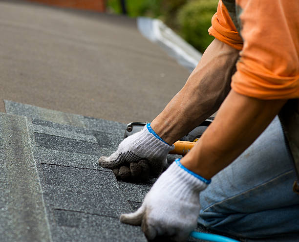 Roof Gutter Cleaning in Dixon, KY