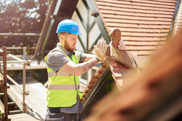 Best Residential Roofing Contractor  in Dixon, KY